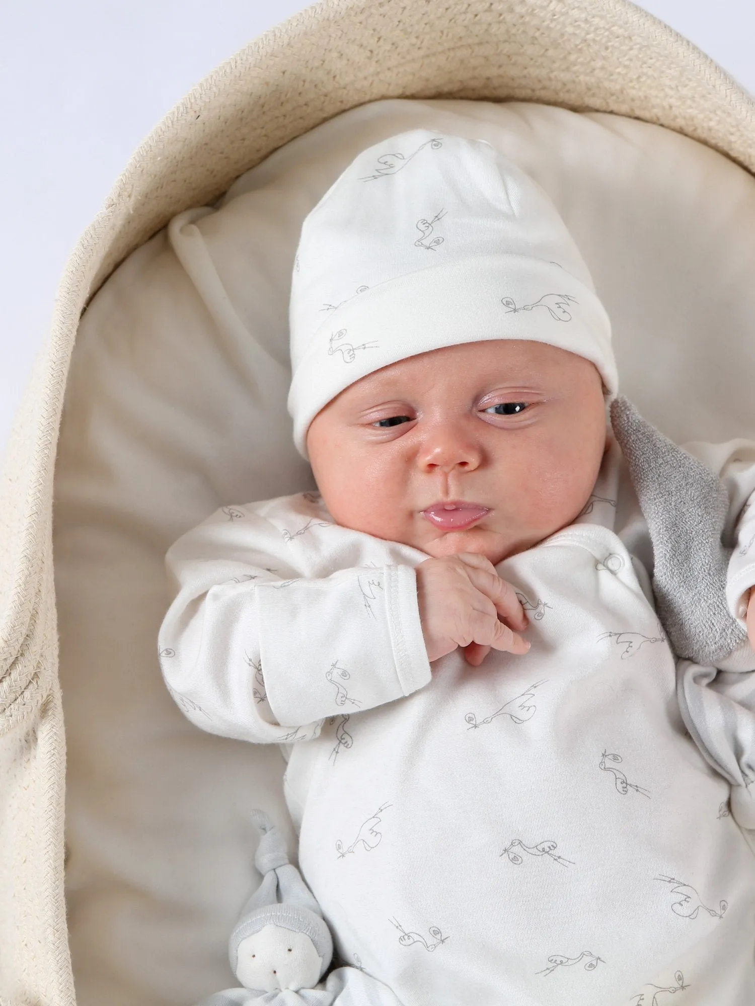 Baby Beanie - Stork Print