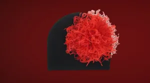 Black Cotton Hat with Red Large Curly Marabou