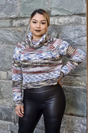 Cozy Up Multi Color Crop Sweater